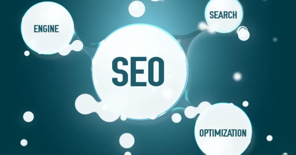 Il SEO, significato e marketing - I misteri della web-jungla nera - Immagine: 2