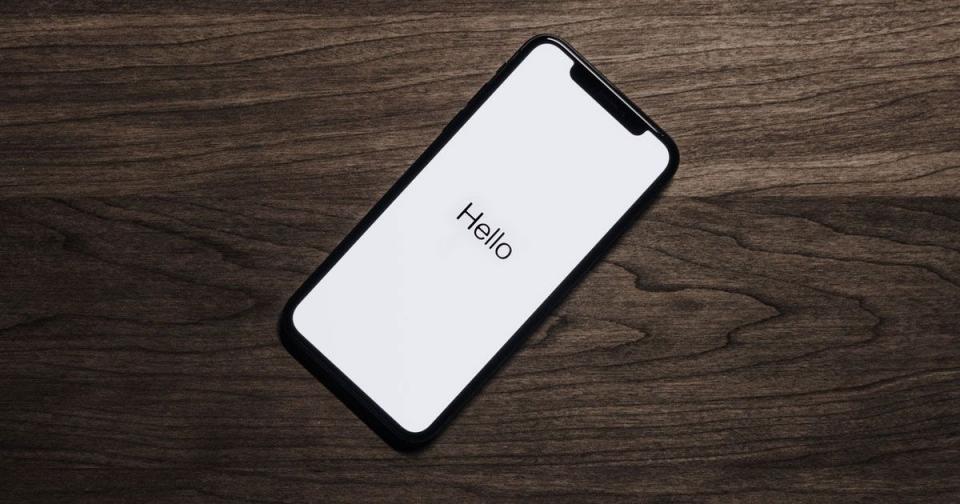 Ciao mondo, siamo il Dwarf Garden! - Immagine: 2